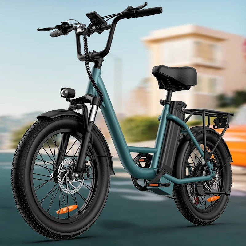 750W 20x3" Fat Tire Electric Bike 48V 13Ah Removable Battery 20MPH 7-Speed Gears Dual Disc Brakes Adult Moped for Off-Road City